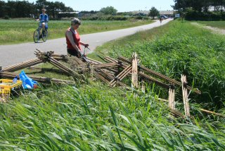 bouw van het beeld